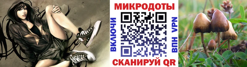 Псилоцибиновые грибы MAGIC MUSHROOMS  дарк нет телеграм  Тарко-Сале  купить  цена 